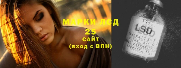 apvp Вяземский