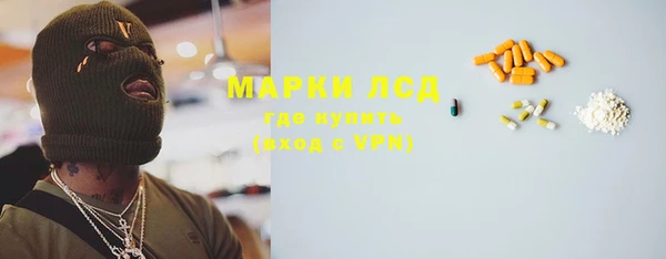 apvp Вяземский