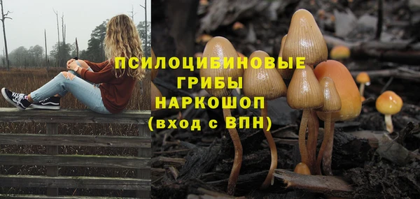 apvp Вяземский