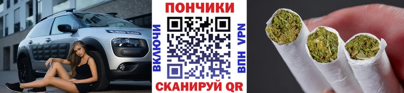 Купить  Сусуман  Марихуана VHQ 